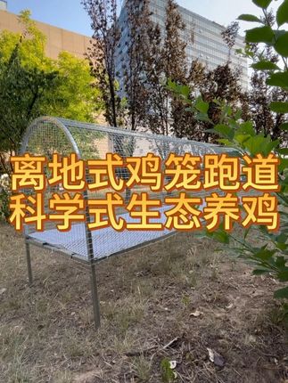 离地式隧道鸡笼 镀锌钢架搭配镀锌网结实耐用防鼠防狼#溜达鸡#三农#离地式鸡笼跑道#创作者灵感#溜达鸡#鸡笼跑道
