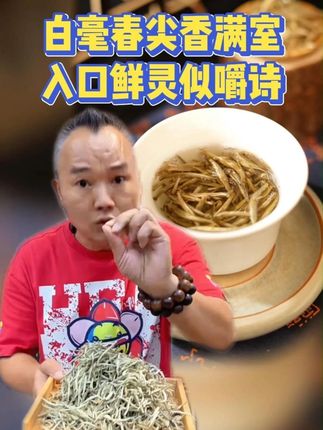 春尖白茶鲜为本,香透杯盏醉煞人。 #召唤茶友 #茶文化知识 #每日一茶 #白毫银针白茶中的极品 #茶文化