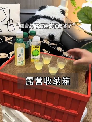 #露营箱 #车载收纳箱 #超便宜超划算 #平价好物 #好物推荐
