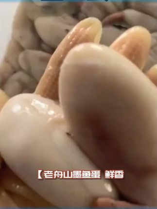 老舟山下饭菜 本地新鲜墨鱼蛋