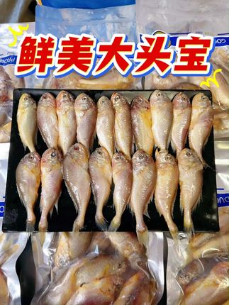 又鲜又美味的大头宝,个头饱满肉质肥,一斤一袋超级实惠,爱吃的闭眼入~#美食分享 #美食推荐官 #大连海鲜 #梅童鱼 #海鲜美食诱惑你