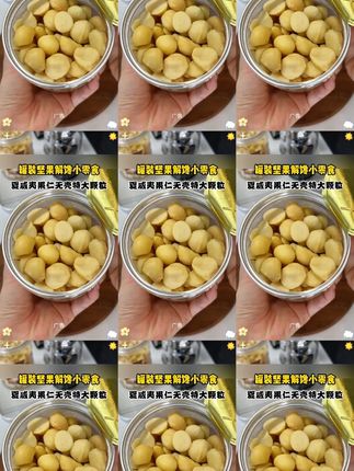夏威夷果仁无壳