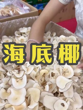 书荷姑娘海底椰100g/250g无硫海底椰新鲜晾晒新货饱满 #海底椰 #好食材好味道 #煲汤好食材 #立秋开吃啦 #真材实料好味道