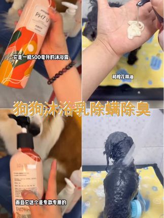 狗狗沐浴露500ml宠物狗狗猫咪洗澡香波保湿护理抑菌除螨持久留香用品。 #狗狗沐浴露 #泰迪 #给狗狗洗澡 #狗狗美容 #狗狗护毛素
