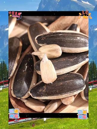 原味熟瓜子五香葵花瓜子内蒙古葵花籽种籽散装瓜子零食休闲食品 #小吃 #绿色食品 #解馋