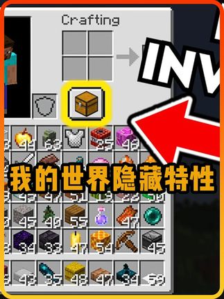 我的世界:36个你不知道的我的世界隐藏特性!#我的世界