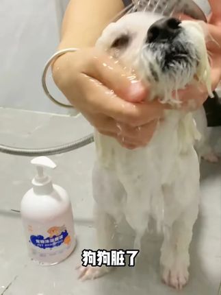#平价好用 #强烈推荐 #我可真会买 #购物分享 #每日新款推荐 -723