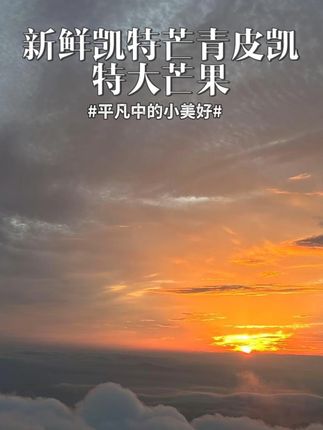 【正宗凯特芒】新鲜凯特芒青皮凯特大芒果香甜软糯多汁当季现摘#现摘先发 #好物分享 #芒果 #吃吃吃吃