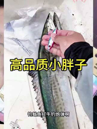高品质小胖子高反光耐用UV涂层夜光鲅鱼炮弹黄鲣马鲛烟仔 #路亚黄鲣 #路亚炮弹鱼 #路亚鲅鱼