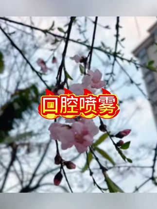 西谜益生菌清新口腔喷雾持久留香嘴巴去异味便携式#口腔喷雾 #口腔护理 #除臭 #除臭喷雾 #口腔健康