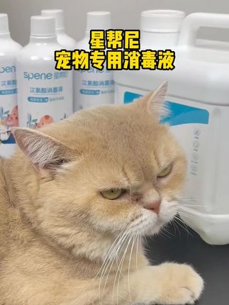 【母婴宠物安全】星帮尼次氯酸消毒液除菌除臭除螨安全无毒不刺激#次氯酸消毒液 #星帮尼 #母婴安全 #宠物安全 #除菌除臭