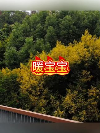 暖宝宝贴暖贴暖身贴热敷贴增强暖腰腹宫保暖持久女冬必备#暖宝宝 #暖宝宝贴 #暖宝宝暖贴 #热敷贴 #暖宫贴