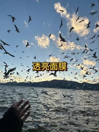 想要养出白嫩好皮肤,美白面膜你得坚持去敷!脸黄脸暗斑斑点点多的姐妹快去试试这款#美白面膜 让你偷偷变美惊艳所有人!#提亮肤色改善暗沉 #护肤 #好皮肤养出来 #面膜推荐