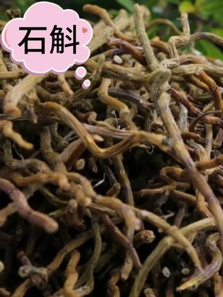 西藏本地发货高原石斛整根发货嫩芽石斛 #胶质满满不留渣 #石斛 #好货推荐 #地方特产