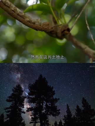#哄娃神器 #防惊跳 #哄睡 #宝宝睡觉