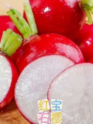 樱桃萝卜种子生长速度快,#樱桃萝卜种子 #阳台小院均可种植 #在家种菜 #农业种植 种点这个樱桃小萝卜吧