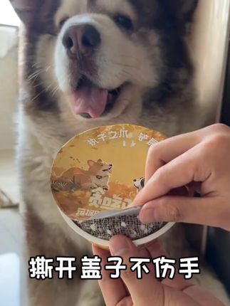 狗狗吃外面的野草!不光不卫生还有细菌!自己种的干净卫生还新鲜!多吃狗草对狗狗身体有各种益处!而且猫咪和狗狗都能吃!养猫养狗的家长强烈推荐#创作灵感 #狗草 #贪吃马 #萌宠好物 #狗狗  #狗吃草  #新手养狗