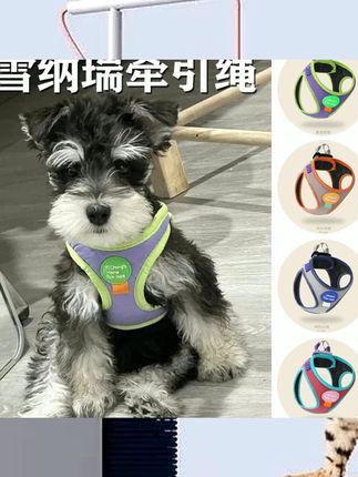 多巴胺雪纳瑞牵引绳专用小型犬外出户外遛狗绳子小体幼犬胸背背心 #宠物健康 #科学养宠 #萌宠好物