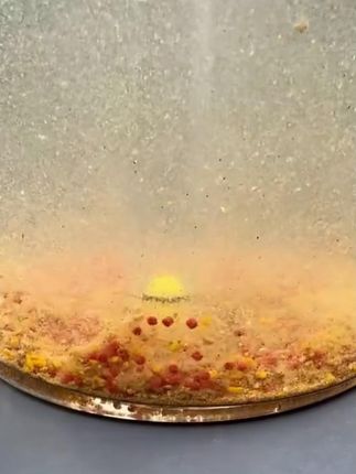 亭林虾肉麻团豆缓沉颗粒黑坑竞技滑鱼麻团打窝颗粒散炮饵料钓鱼饵#记录生活 #我的日常生活 #垂钓 #饵料 #黑坑钓鱼 #亭林虾肉麻团