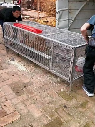 加粗加密家用鸡笼特大号户外可折叠养殖笼 #养殖好帮手 #家禽养殖笼 #养鸡 #家禽 #好物推荐