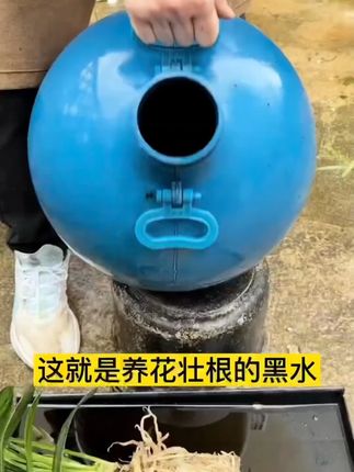 【极速发货】土壤活化剂活化宝 化肥矿源黄腐植酸钾复合肥土壤