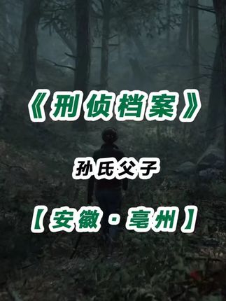 安徽省·亳州市:盘踞在涡阳县的孙氏父子被警方抓获 #真实事件 #案件故事 #案件故事解说 #真实案件记录 #我的观影报告