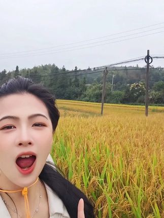 25年正宗洞庭丝苗米只要29.9,还免费试吃,后台都抢疯了! #吃一次就忘不了的味道#吃了还想吃#丝苗米#洞庭丝苗米#好吃到停不下来