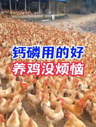 大型养殖场都在用的钙磷微量十八补!#养殖场#养殖户 #养殖 #钙磷 #钙磷十八补