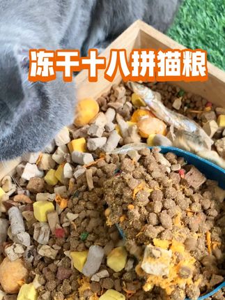 冻干18拼猫粮,多种口味选择,猫咪实现干饭自由! #猫粮 #蓝白猫咪 #冻干 #营养丰富 #源头工厂