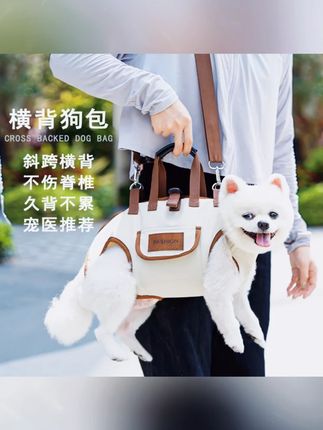 中小型狗狗猫咪外出便携单肩手提斜挎包四用宠物背包用品牵引比熊#萌宠好物 #牵引绳