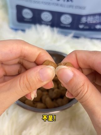 不是!谁想的啊?把狗粮做成软的 既有肉香还有口感#萌宠好物 #狗粮推荐 #宠玛吉