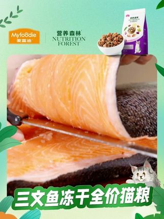 营养森林的三文鱼猫粮性价比是真的高!#麦富迪#营养森林#猫粮推荐#猫咪#养猫人
