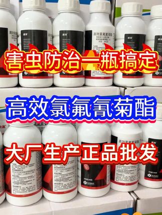 高效氯氟氰菊酯 把农资暴力打下来,为农户省钱省时。#病虫害防治#农业#农业种植#蔬菜种植#果树种植