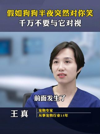 假如狗狗半夜突然对你笑千万不要与它对视 #狗狗  #新手养狗  #养狗经验分享  #科学养宠攻略  #狗是人类最忠诚的朋友