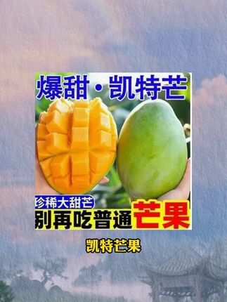 又到了一年一季吃芒果!这个四川攀枝花凯特芒果,个个果肉金灿灿的果肉细腻无丝,口感真的太赞了~#凯特芒 #应季水果