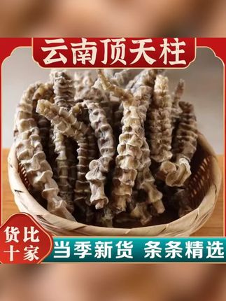 正宗顶天柱材云南新货虫草参泡茶泡酒真品质饮姜高品质 另售百合 #云南虫草参 #虫草参 #虫草参茶 #虫草参泡水 #养生茶