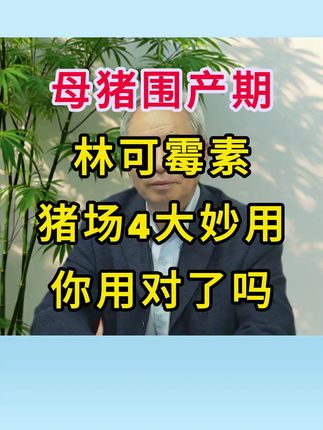 #所有养猪人 #养猪知识 #养猪经验