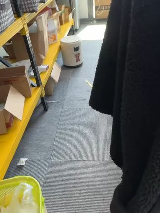 这款闪光马克笔画出来的墨汁自带珠光,每一笔都bling bl 这款闪光马克笔画出来的墨汁自带珠光,每一笔都bling bling的。#儿童绘画 #闪光马克笔 #儿童文具