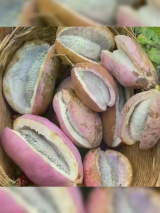 #八月瓜 #水果 #新鲜 #推荐 #好东西一起分享