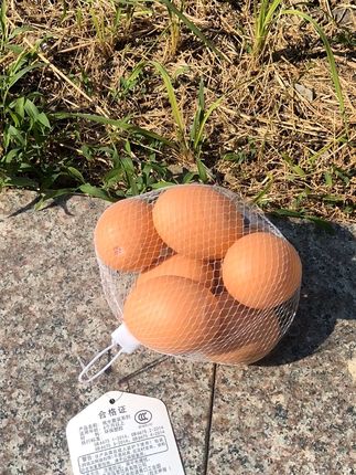 搪胶鸡蛋捏捏响宝宝洗澡发声叫婴儿游泳池戏水玩具生日六一礼物 #新鲜采摘 #大山里的味道 #快来一起尝个鲜 #大自然的馈赠