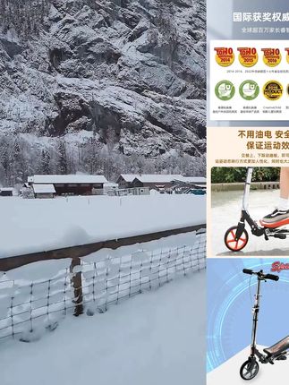 炫力达太空滑板车X580两轮踏板车成人健身运动折叠自行车