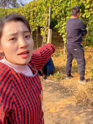 #钦蜜9号黄金百香果 好吃不贵新鲜又实惠,几乎纯甜无酸汁水多如蜂蜜一般的甜,越放越甜老人小孩都爱吃#黄金百香果 #新鲜应季水果 #优质农产品 #百香果