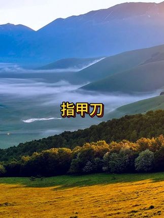 这个指甲刀四件套#超便宜超划算 家人们赶紧去抢#好物推荐🔥 #好物分享 #指甲刀 #指甲刀套装
