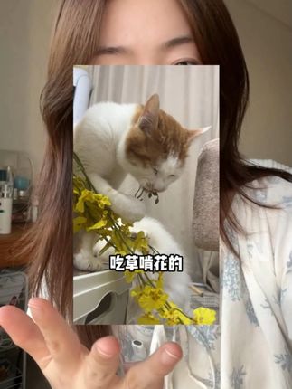 当猫咪出现这些行为时,千万别掉以轻心哦~ #科学养猫 #养猫经验分享 #新手养猫 #宠物微量元素