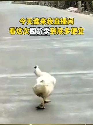 宝妈必看!十月结晶冒险家纸尿裤,囤货好时机!单片不到1块钱,轻薄透气,夏日宝宝屁屁无负担。 #好物推荐🔥 #拉拉裤 #超薄纸尿裤 #透气舒适 #尿不湿