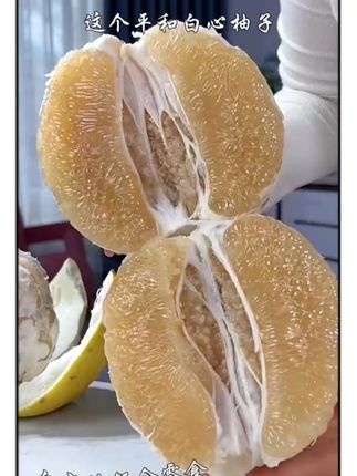 #新鲜应季水果 #快来一起尝个鲜 #自家果园 #新鲜采摘 #好吃不贵经济实惠