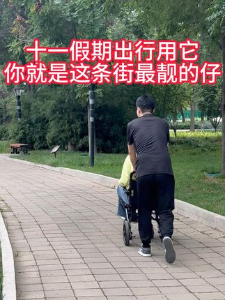 假期出行就靠它,便携好推又轻便 #飞机轮椅 #假期出行 #轻便舒适