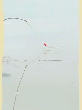 流水大稳不住浮漂,这种钓法就能钓鱼 #钓鱼技巧 #钓鱼 #钓鱼人