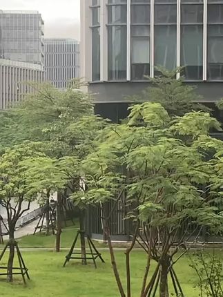 #风景如画心旷神怡 #风景如画的地方