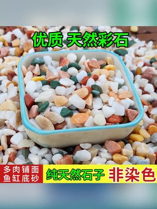 天然小彩石多肉盆栽铺面石子鱼缸专用铺底砂雨花石头园艺装饰造景#天然小彩石 #小彩石 #鱼缸专用 #雨花石 #雨花石推荐